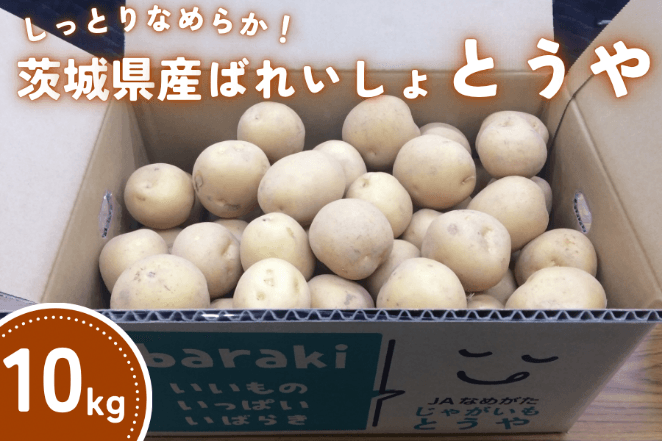 プレスリリース 2024年6月21日【JAタウン】産地直送 通販 お取り寄せ