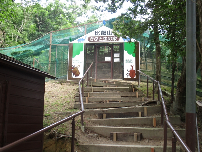 かぶと虫の家 入口