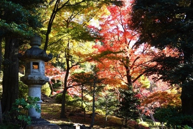 奥の院型灯籠と紅葉