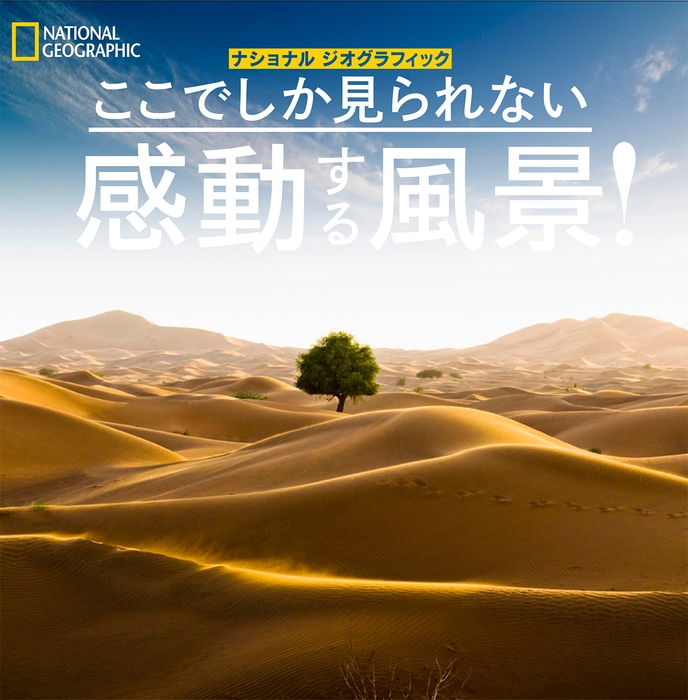 『ここでしか見られない感動する風景! 』