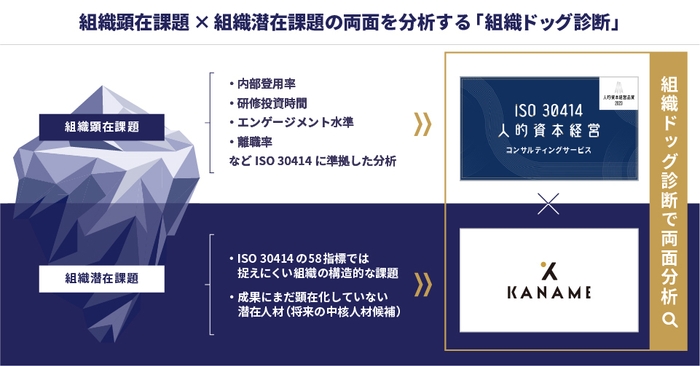 「組織ドッグ診断」概要