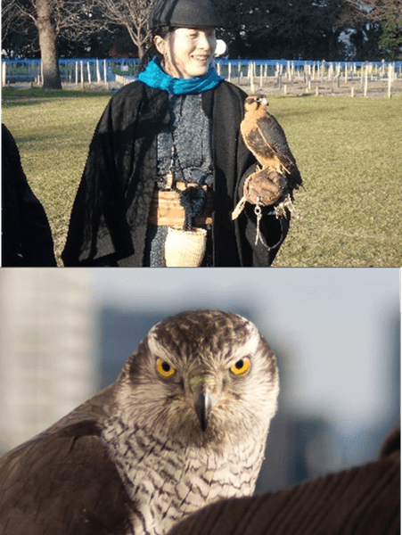 放鷹術の実演