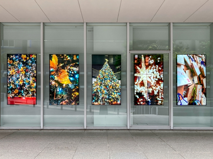 展示例：御茶ノ水ソラシティのクリスマス(昼)