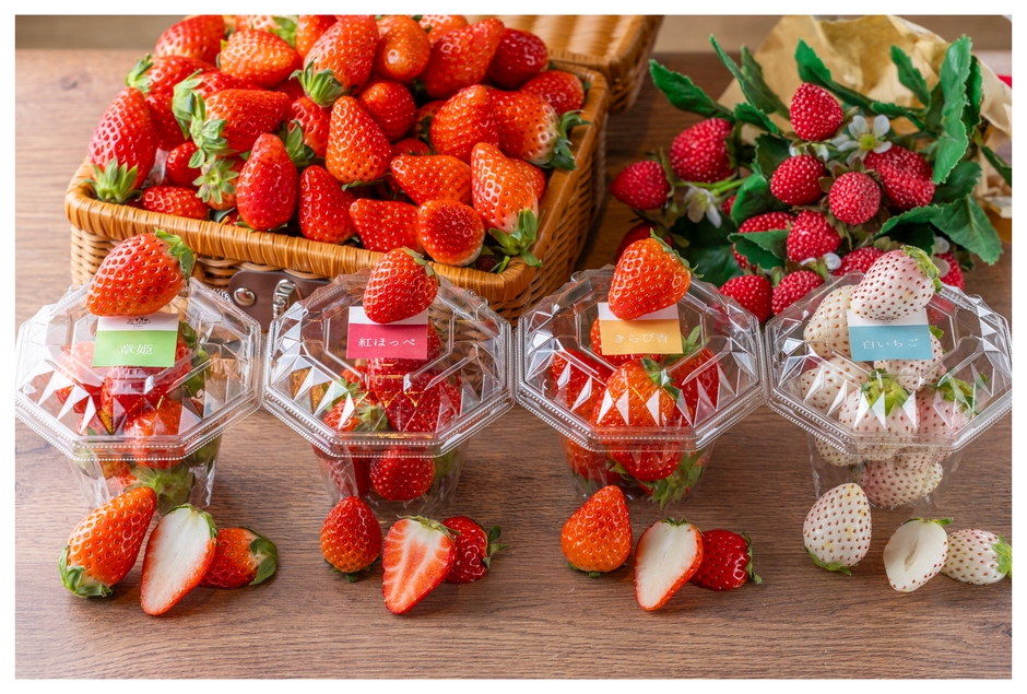 品種別いちごカップ