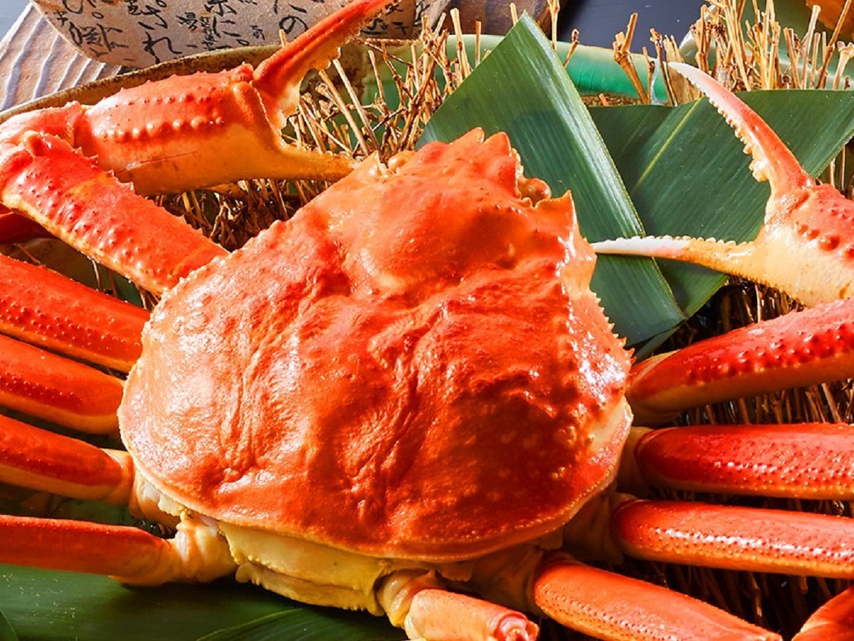 城崎のファミリー宿が【卒業旅行応援・25歳以下限定プラン】販売開始 <2024年2月~3月末>限定蟹グルメ+お土産付