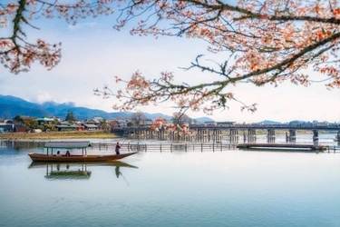 星のや京都　雅な屋形舟「翡翠(ひすい)」を貸し切り水上のお花見「奥嵐山の花見舟」開催　期間：2021年3月25日～4月10日