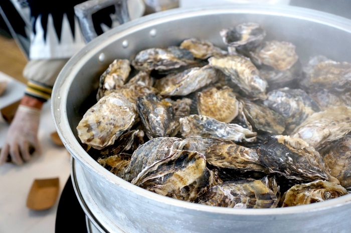 オープニングイベント 牡蠣びらき(2)