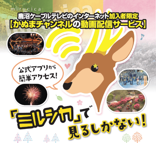 ミルシカについて1