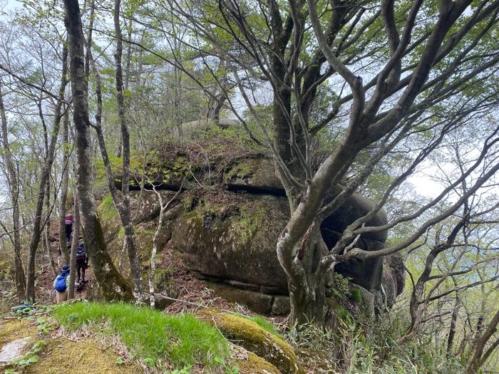 頂上付近にある大岩がシンボルの「鬼ヶ城山」