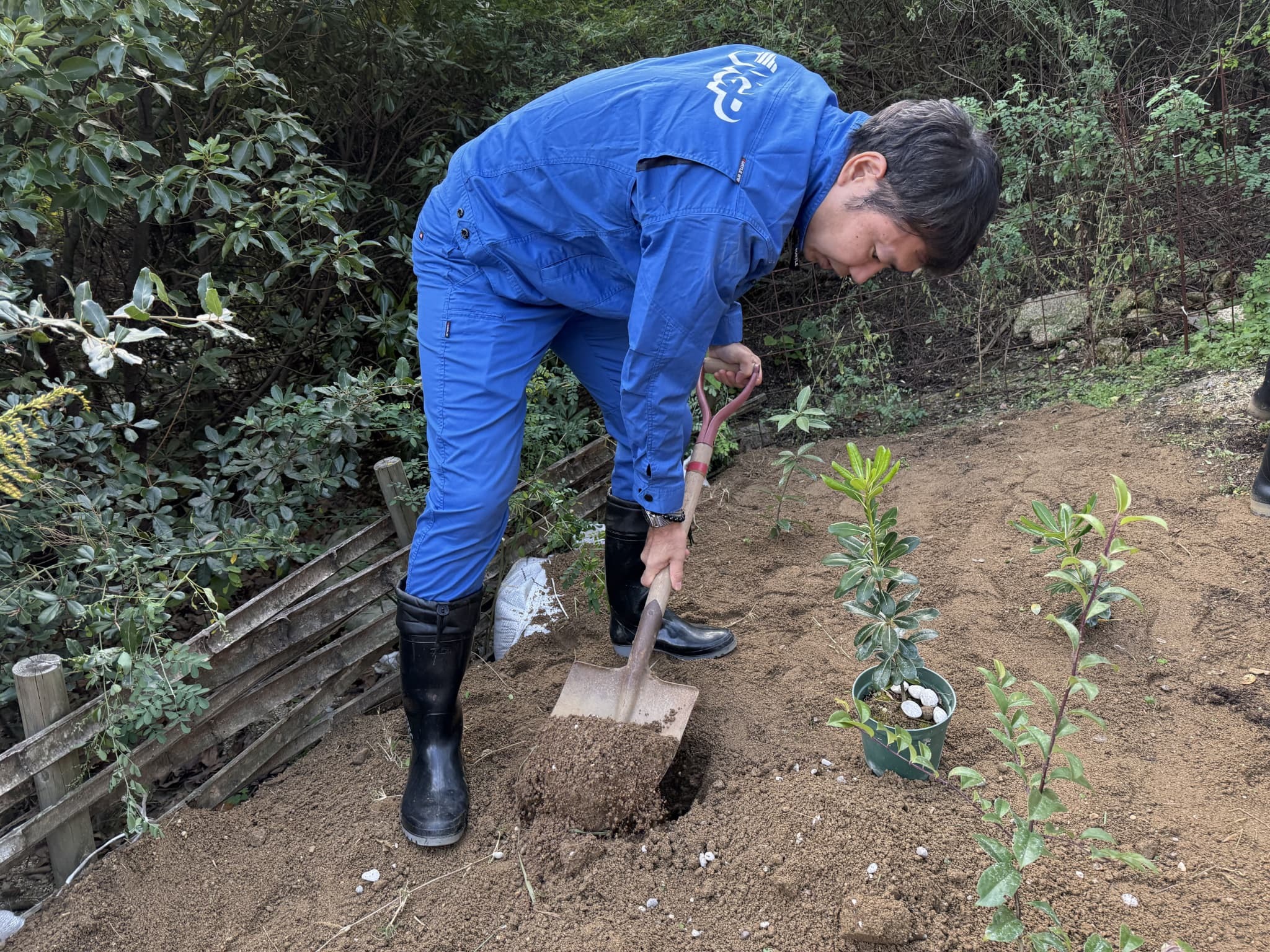 見本園を整備する様子