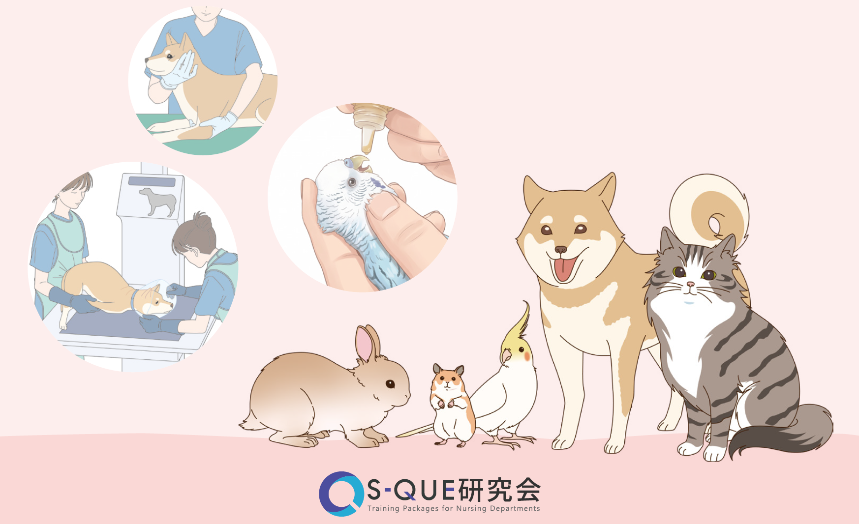 9月1日公開｜「S-QUE愛玩動物看護ラダー別研修」にエキゾチックアニマル学を新設！