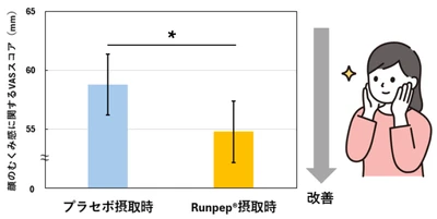 卵白由来の独自素材「Runpep®」、顔のむくみ感を軽減する新たな機能を発見。国際学術誌に研究成果を掲載