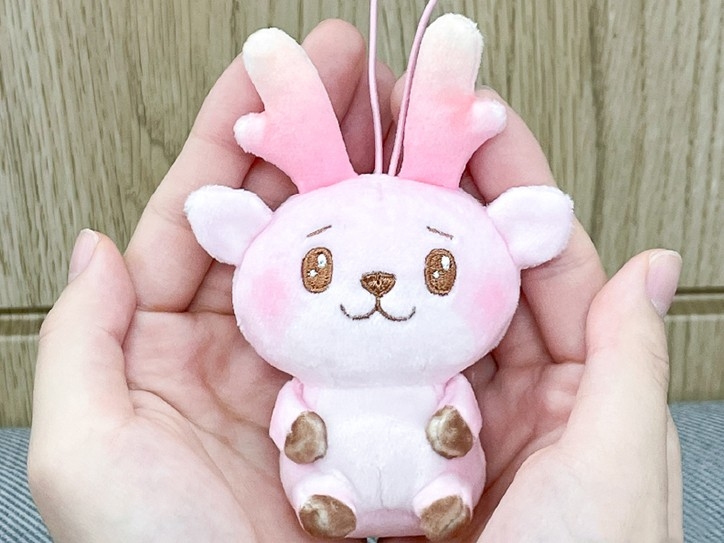 てのひらにちょこんと収まるサイズ