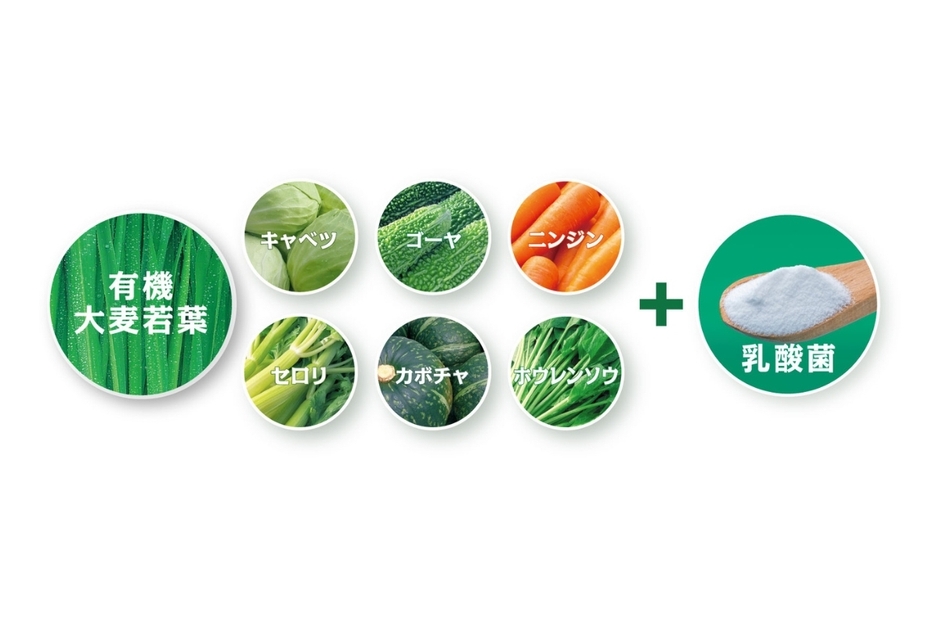 国産有機大麦若葉・国産野菜+植物性乳酸菌