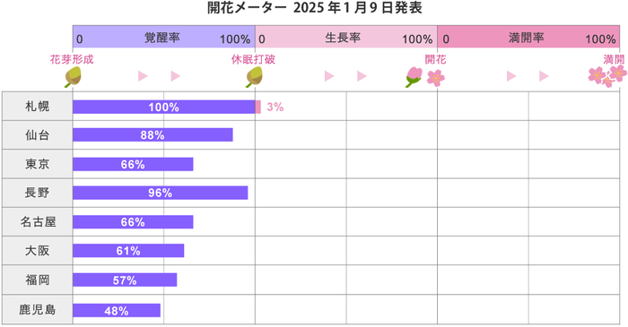 2025年桜開花メーター