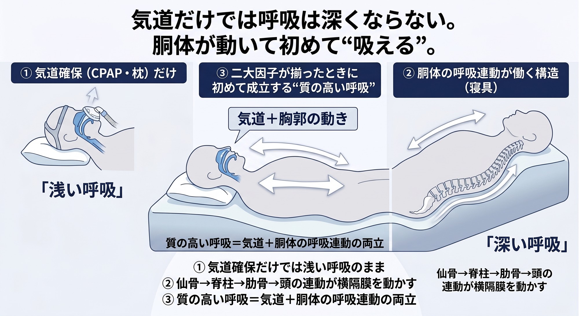 不眠症や睡眠時無呼吸は、なぜ"治らない人"が多いのか── その理由は、医学が扱わない"呼吸構造"にあります
