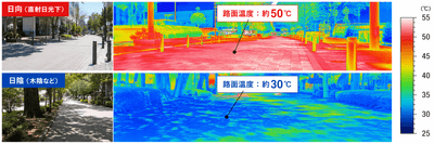 路面温度サーモグラフィ