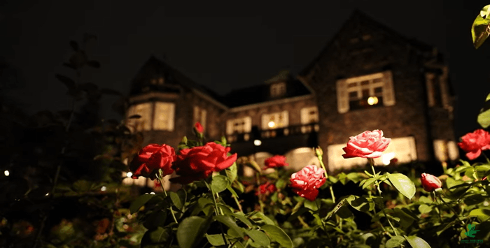 洋館ライトアップをドローンで空撮