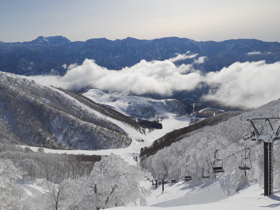 山頂からの眺め