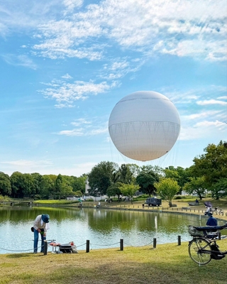 日中 大仙公園