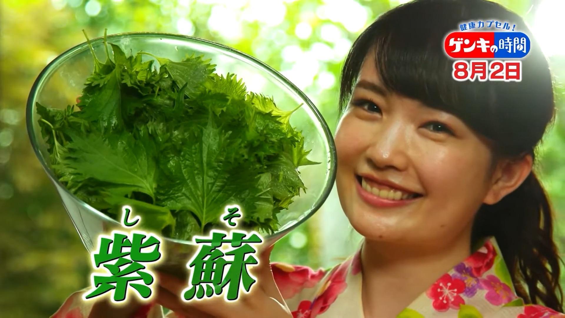 整腸、美肌、認知症予防、血流改善、がん予防に効果が期待できる!?小さな一枚に秘められた「シソ5大健康パワー」とその理想の食べ方をご紹介!8月2日(日)あさ7:00放送『健康カプセル!ゲンキの時間』