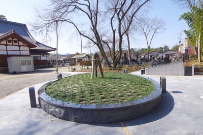樹木葬墓