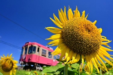 ローカル鉄道に乗って絶品グルメ満載の銚子で 大人の修学旅行を楽しもう！魅力的な美味しいグルメをご紹介