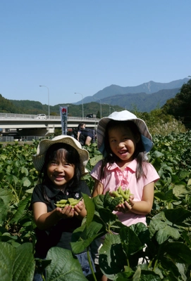 収穫期は年に数日！山梨で「幻の大豆」の枝豆を収穫体験！ 10月上旬より「身延のあけぼの大豆産地フェア」を開催 地域特産品の認知拡大を目指す