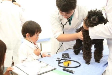 獣医師の仕事について知る！動物とふれあう！動物同伴OKイベント 「2022動物感謝デー in JAPAN “World Veterinary Day”」 10月1日(土)開催