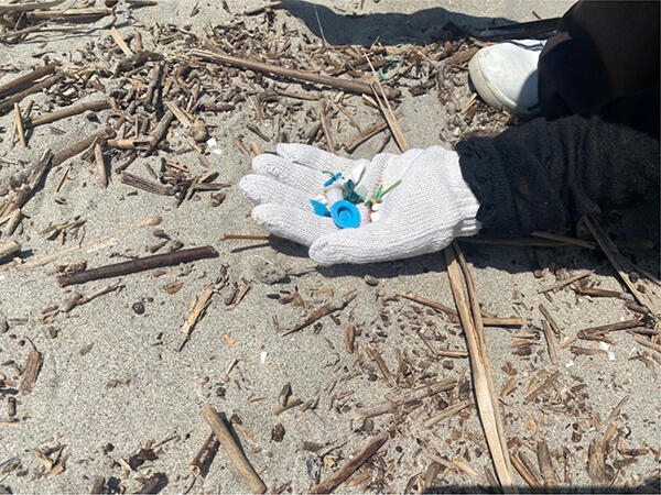 海岸に落ちているマイクロプラスチック