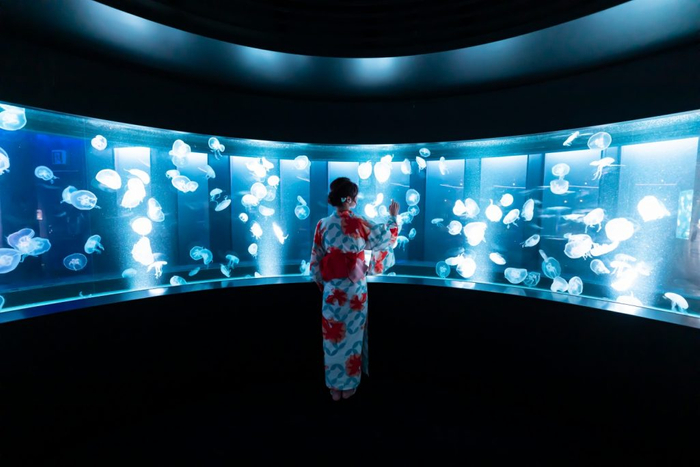 浴衣デザイン「くらげ」発案のきっかけは、前年に姉妹店「夢館」にて撮影された京都水族館でのクラゲ×浴衣の写真でした