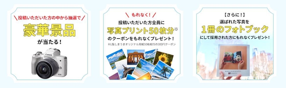 しまうま夏旅プレゼント