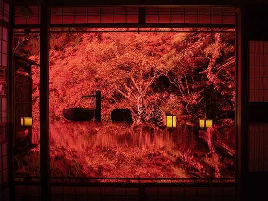 写真好きが選ぶ、全国の紅葉撮影スポット30選2026【東京カメラ部】1位は「河口湖」
