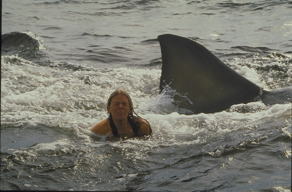 © 1978 Universal Studios. All Rights Reserved.