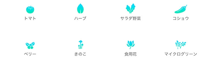 植物の種類