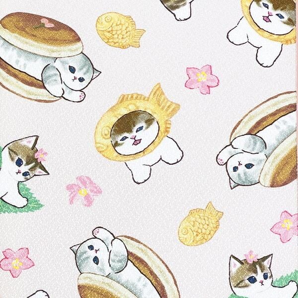 モフサンドの自由に使えるケースとBOX