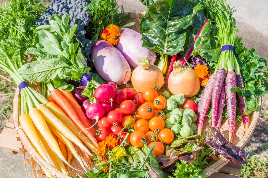 彩り野菜と香るハーブ