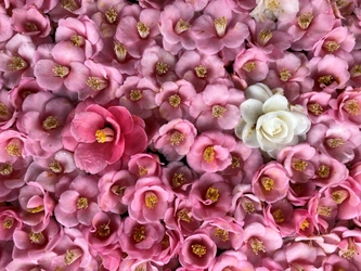 通常非公開の尼門跡寺院　京都・霊鑑寺　 ～3月20日より、椿が咲き誇る庭園や書院を特別公開～