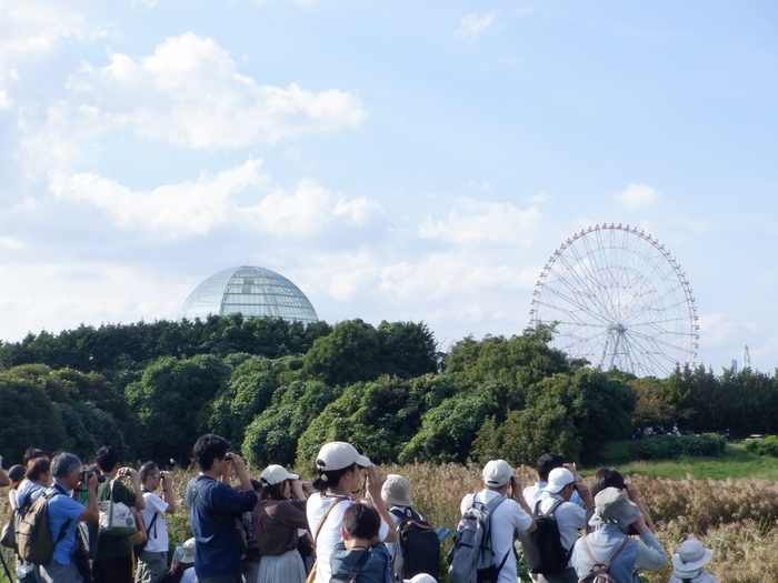 鳥類園の歴史を振り返りながら鳥を観察します