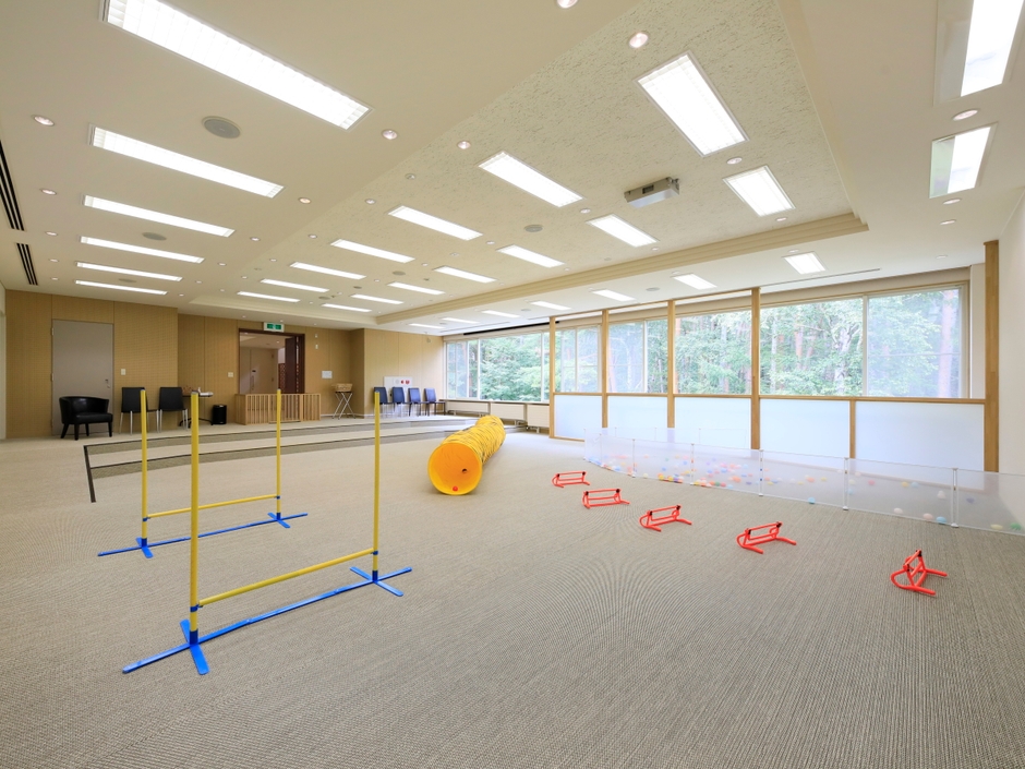 室内ドッグラン