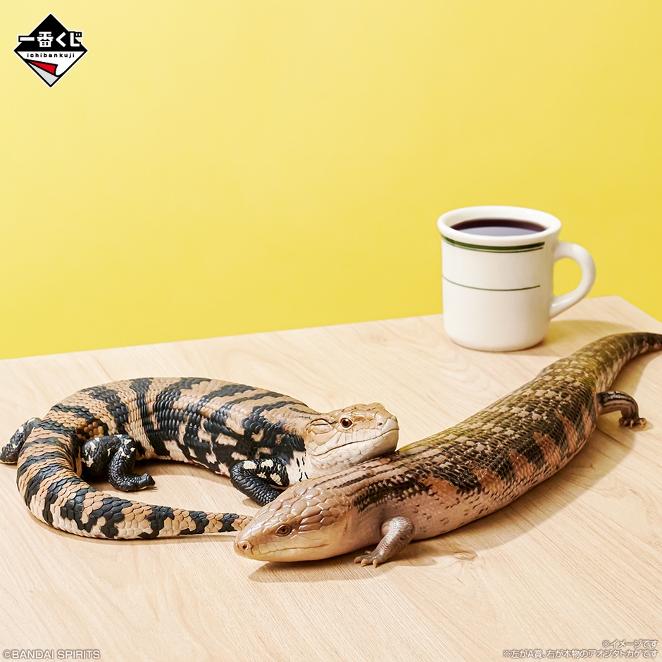 A賞:アオジタトカゲ フィギュア(イメージ1)
