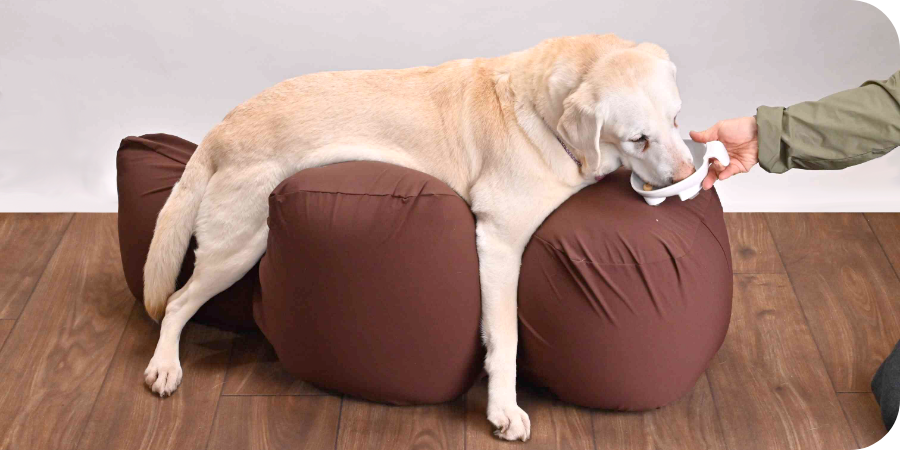 リラクッション