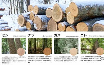 老舗フローリングメーカー・イクタからの新提案 「エアー・ウォッシュ・フローリング 銘木フロアーラスティック MEGURI」を 2026年4月21日より受注開始