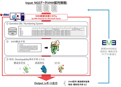 MKI、埼玉大学発創薬スタートアップへ「MKI-DryLab for Microsoft Azure」を導入