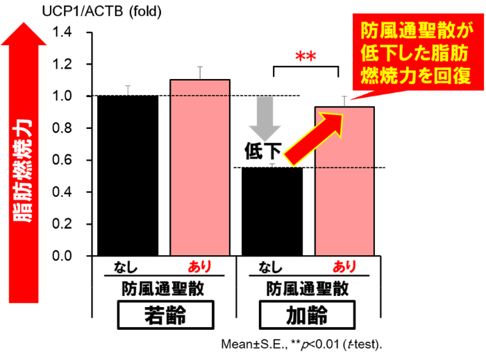 図3:脂肪燃焼力の回復