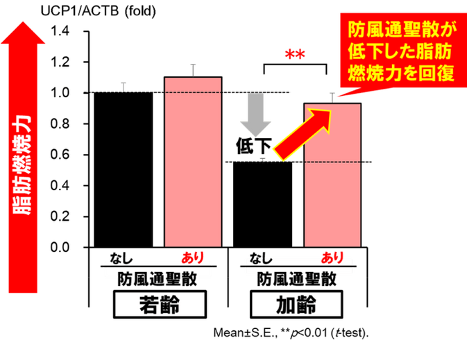 図3:脂肪燃焼力の回復