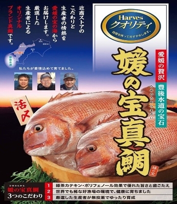 媛の宝真鯛