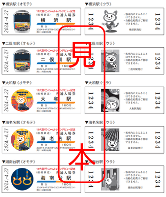 「D型硬券普通入場券」（イメージ）
