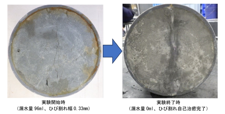 写真4：ひび割れの自己治癒状況