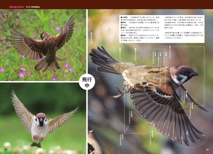 基礎知識&雑学集